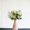 48-Pack: Cream Daisy Bundle with 6 Silk Flowers & Foliage by Floral Home®